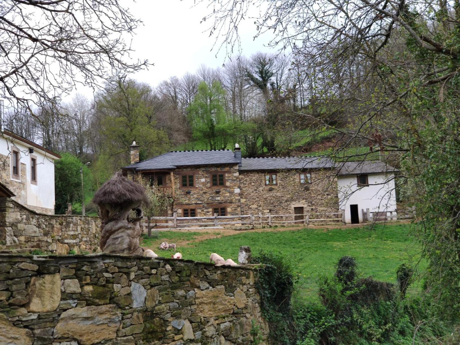 Country house Casas Eladio-doncos *